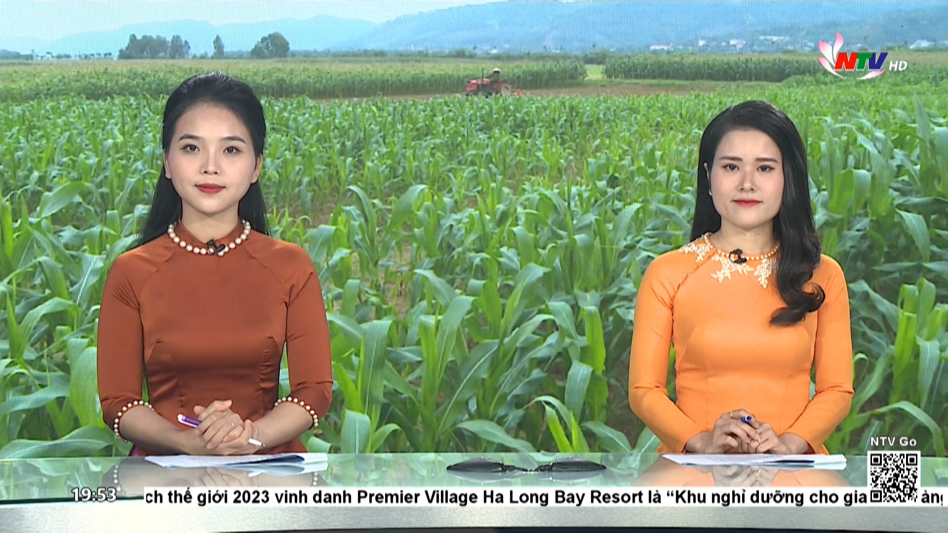 Thời sự Truyền hình Nghệ An tối - 08/09/2023