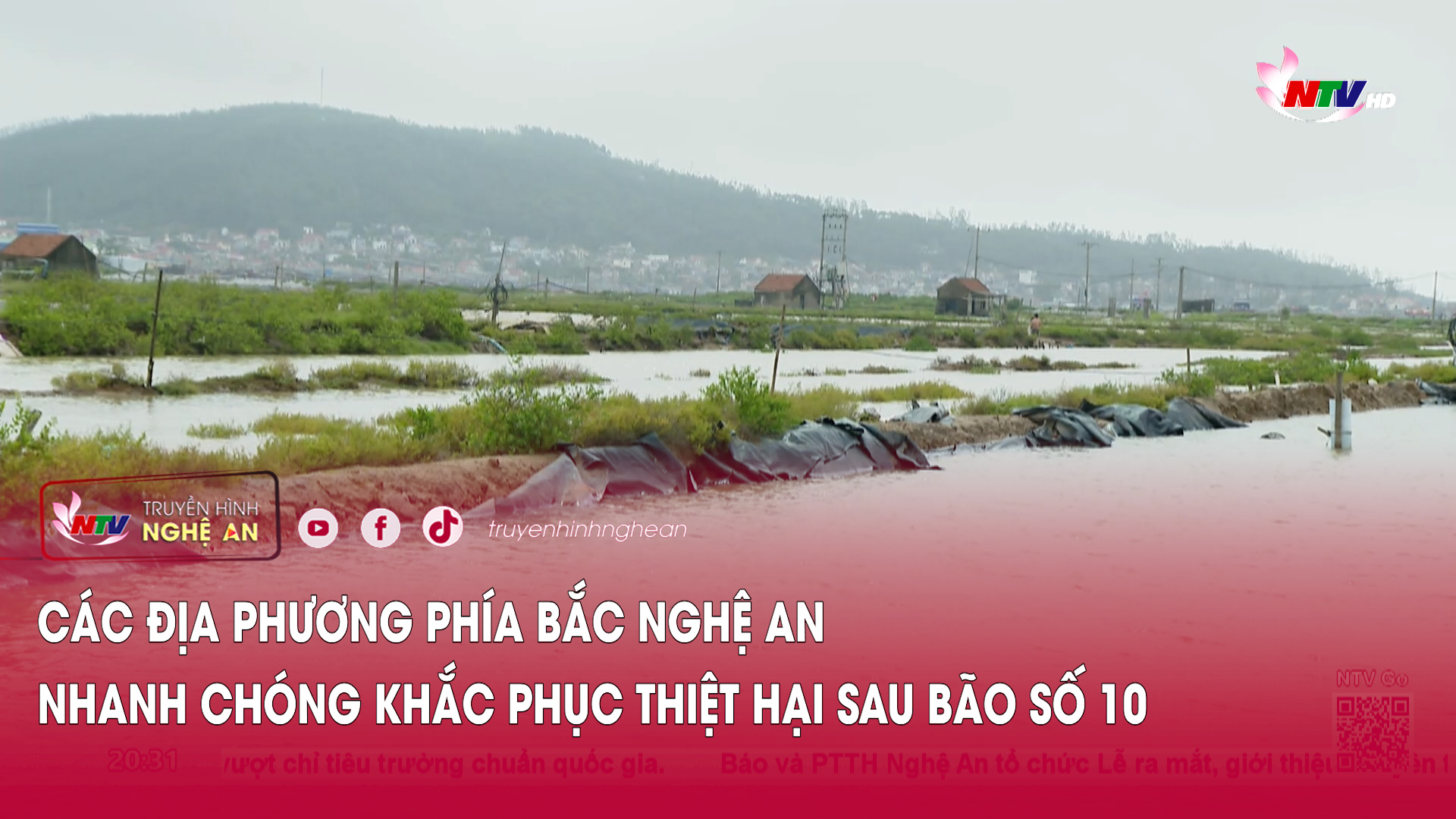 Các địa phương phía Bắc Nghệ An nhanh chóng khắc phục thiệt hại sau bão số 10