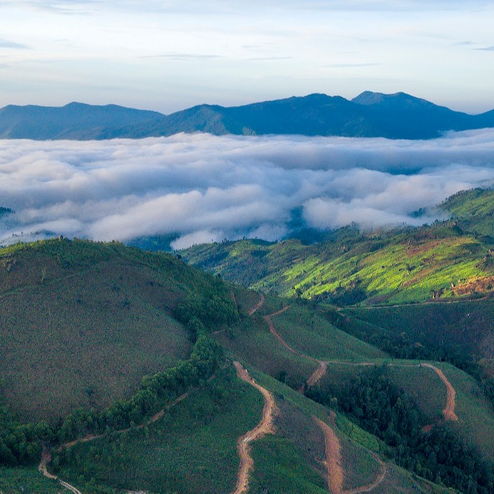 Sương giăng đỉnh núi