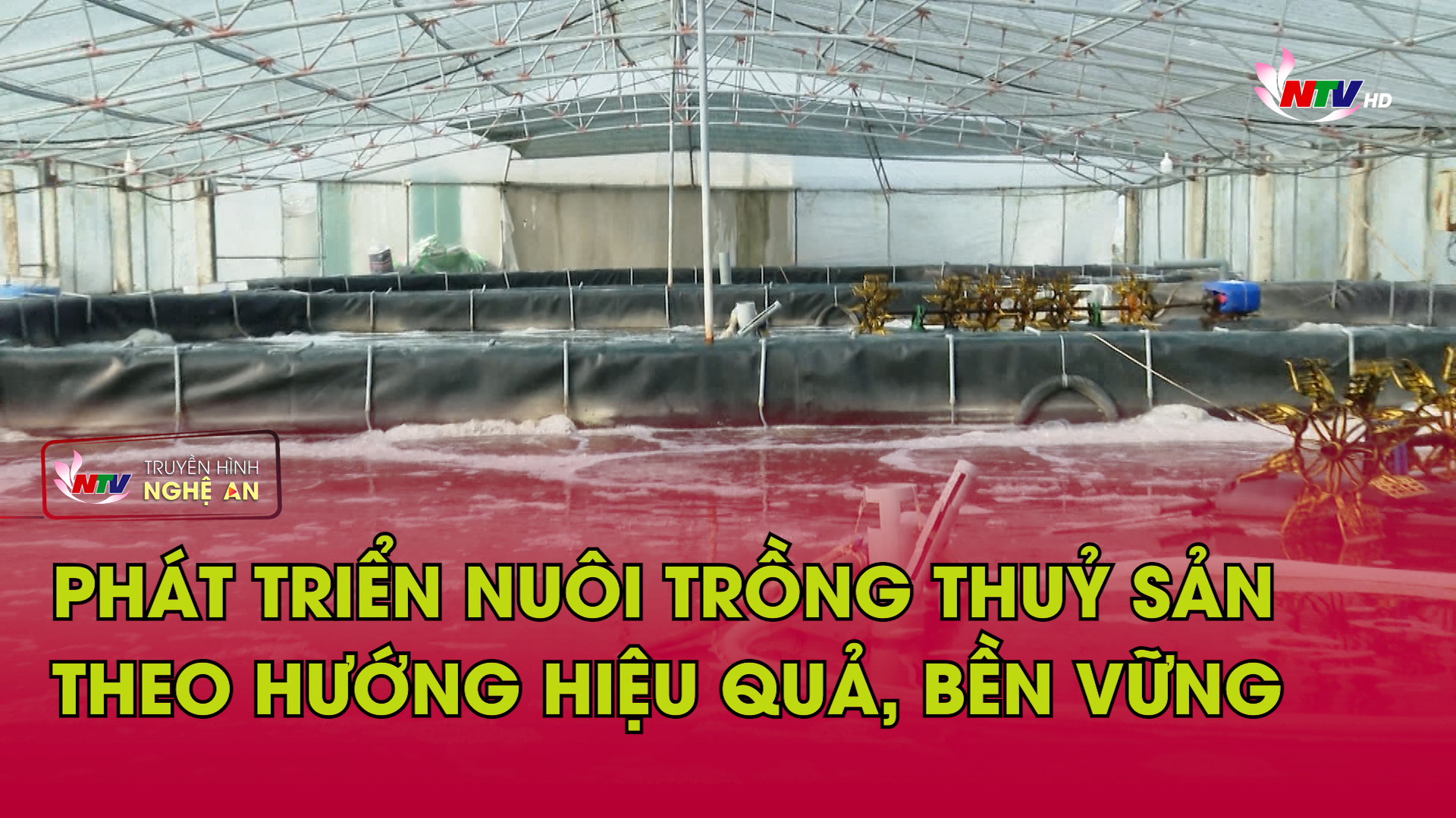 Nghệ An: Phát triển nuôi trồng thuỷ sản theo hướng hiệu quả, bền vững
