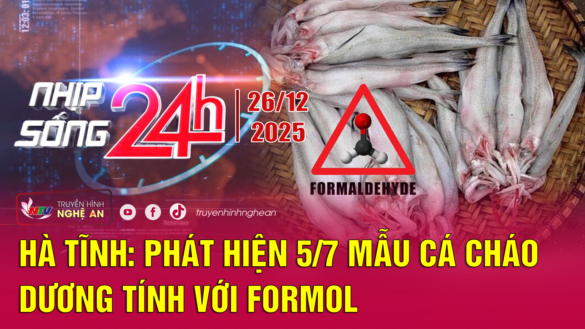 Bản tin Nhịp sống 24h - 26/12/2025: Hà Tĩnh: Phát hiện 5/7 mẫu cá cháo dương tính với Formol